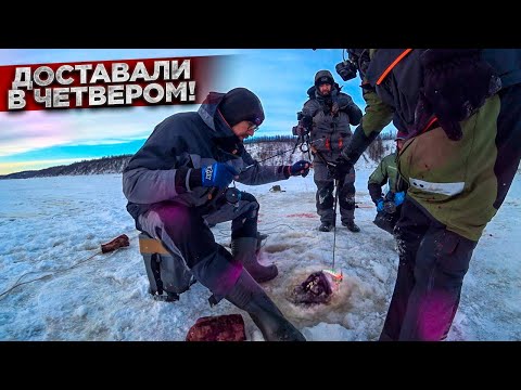 Видео: Доставали всей ТОЛПОЙ этого МОНСТРА. По ПЕРВОМУ льду клюют ЧУДОВИЩА