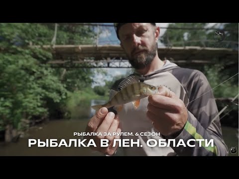 Видео: Рыбалка в Лен. области - окунь и щука. Поймали форель? / Рыбалка за рулем / 6 сезон 25 серия