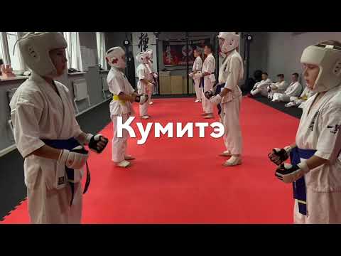 Видео: СК Каратэ Киокушинкай