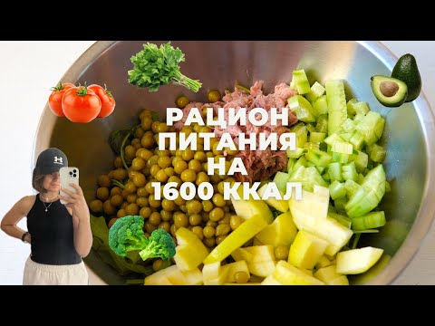 Видео: МЕНЮ НА 1600 ККАЛ ⭐ ПП рецепты ⭐ ПРОСТО и БЫСТРО!