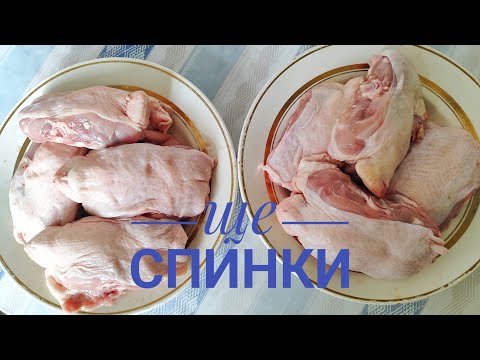 Видео: З КУРЯЧИХ СПИНОК готую одну ліниву страву... По слідам попереднього відео