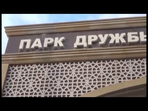 Видео: Волгоград.06.03.16
