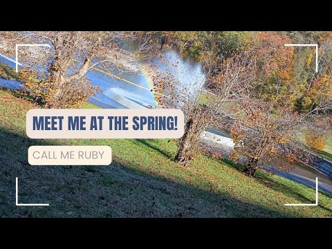 Видео: Встретимся у источника! 💍 💕 🎉 #святойдух #королевскийбрак #королевскийсупруг