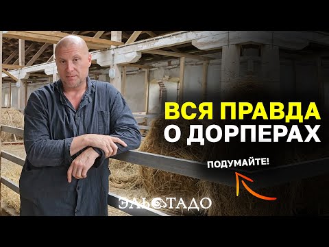 Видео: Всё, что нужно знать о Дорперах! Каких овец выбрать для разведения? Тайны прибыльного овцеводства!