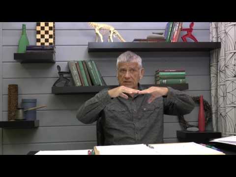 Видео: Типовые звенья