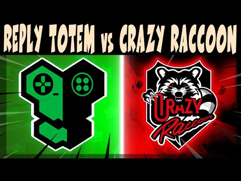 Видео: КРУТОЙ СКРИМ ПЕРЕД LCQ, ИГРАЮТ - CRAZY RACCOON vs REPLY TOTEM #brawlstars