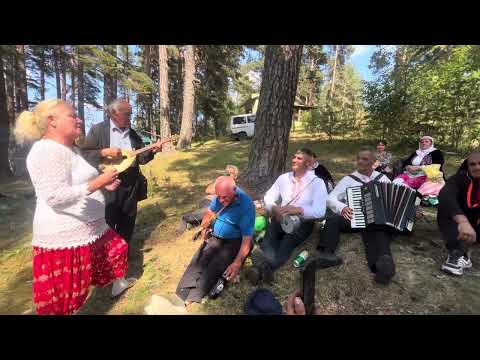 Видео: Сино ле сино Мехмеде 