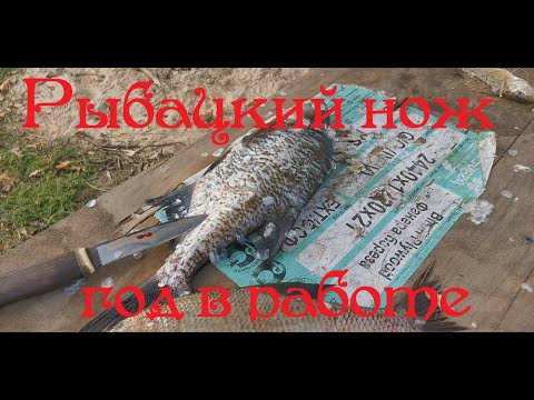 Видео: Нож из 95Х18 Год в работе