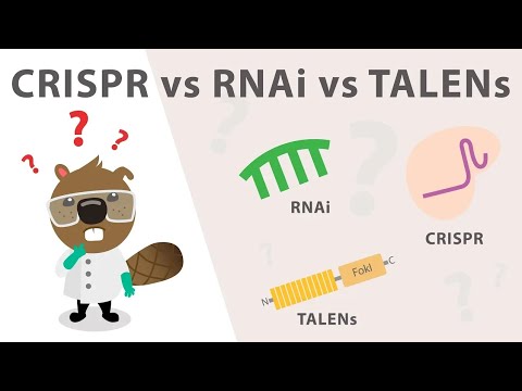 Видео: Методы подавления генов: CRISPR, TALEN и РНК-интерференция