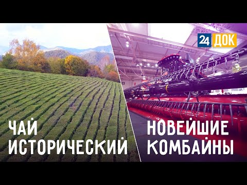 Видео: Чай и тракторы. АГРОНОРМ