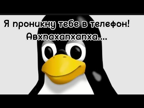 Видео: Я оцениваю рыбу (ч.3)