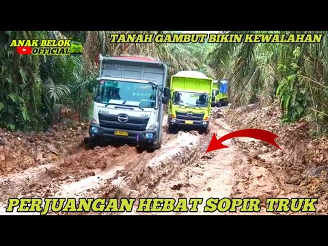 Видео: Худшая ситуация | Водитель грузовика изо всех сил пытается встать в грязь