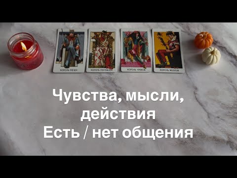 Видео: Чувства, мысли, действия (есть/нет общения) | 4 короля