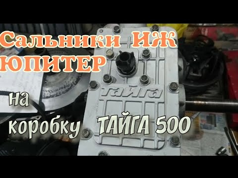Видео: Снегоход ТАЙГА СТ500Д -  Ревизия КОРОБКИ ПЕРЕДАЧ, Замена Манжет Сальников.