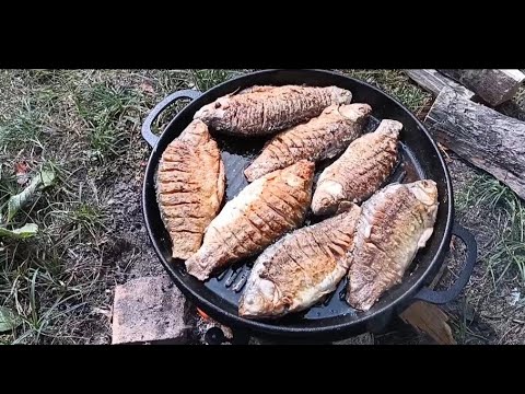 Видео: СМАЖЕНІ КАРАСІ НА ПРИРОДІ . FRIED CARP IN NATURE .