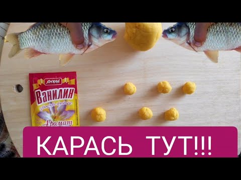 Видео: КАРАСЬ и КАРП обожает это тесто!!! Клев обеспечен!!!