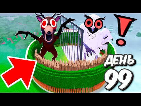 Видео: ОЛЕНЬ VS СОВА 😱 Я СРАЗИЛСЯ В АРЕНЕ ПРОТИВ ВСЕХ ЖИВОТНЫХ в 99 НОЧЕЙ В ЛЕСУ в ROBLOX