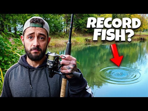 Видео: Мы не имеем права ловить эту рекордную рыбу...