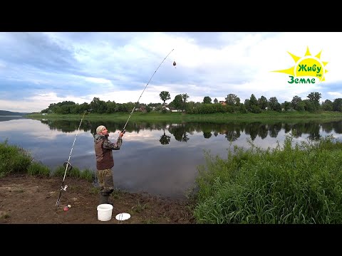 Видео: Рыбалка Ночёвка. Донки Крокодил. Сезон 2022