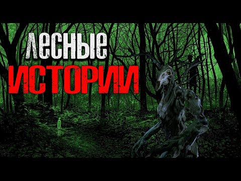 Видео: ЛЕСНЫЕ РАССКАЗЫ | Страшные истории