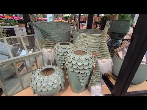 Видео: прогулка по цветочному магазину Wohlhüter