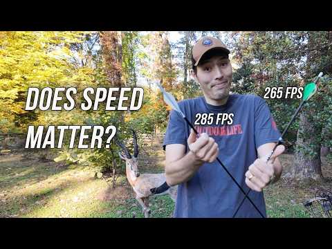 Видео: Правда о скорости стрелы