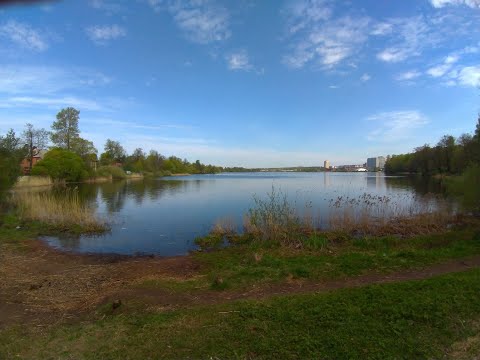 Видео: Рыбалка в Спб.Нижнее Большое Суздальское озеро .Мормо . Каяк.