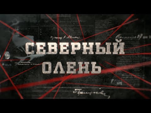 Видео: Северный олень | Вещдок