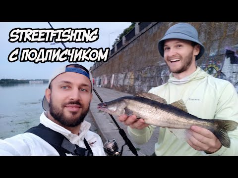 Видео: Подписчик ОБЛОВИЛ меня на Набережной! Streetfishing в черте г. Киев на Днепре! Судак летом на джиг.