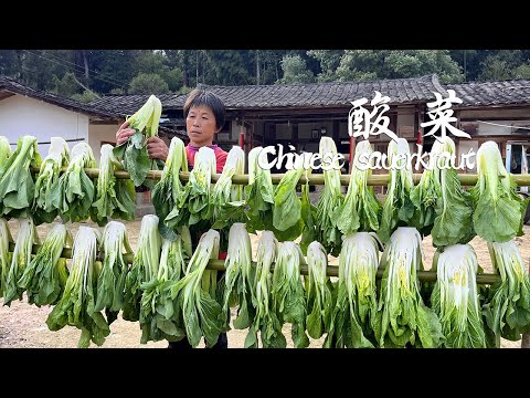 Видео: Соберите 20 небольших кочанов зеленой капусты и квашеную капусту с перцем и рисовым супом.