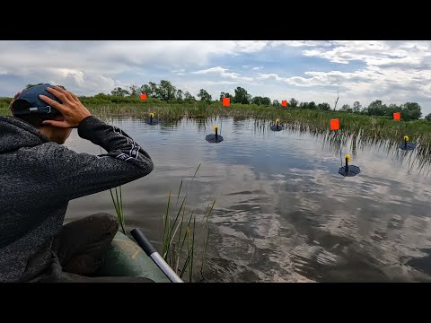 Видео: Сам не поверил результату! Начал проверять летние жерлицы.. И был в Шоке!