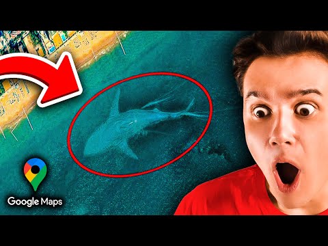 Видео: Я Нашёл Эту СКАТИНУ На Google Картах 👹🔍 Что Это? *Реакция* 👹 Гугл Карты | Рома Субботин