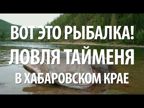 Видео: РЫБА ТАЙМЕНЬ на СПИННИНГ. ВОТ ЭТО РЫБАЛКА в ХАБАРОВСКОМ КРАЕ НА ТАЙМЕНЯ