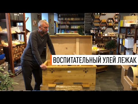 Видео: Воспитательный улей лежак на 24 рамки Дадан - Парк Плюс