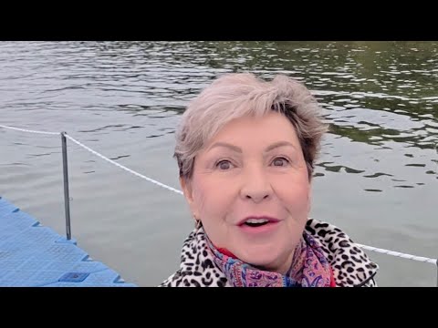 Видео: Старые черепахи 😁❤️