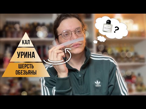 Видео: ОТГАДАЛ ВСЕ! ну почти...  8 ЧУВСТВО 5 СЕЗОН #адвент8чувство