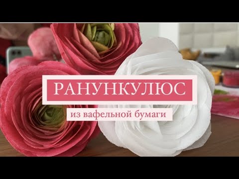 Видео: РАНУНКУЛЮС из вафельной бумаги| Вафельные цветы🌷 🌸💕