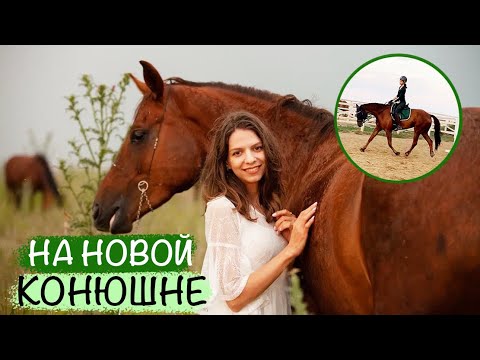 Видео: МОЯ ЛОШАДЬ НА НОВОЙ КОНЮШНЕ 🌾