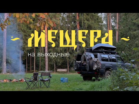 Видео: Небольшой оффроуд среди мха и соснового бора