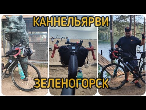 Видео: Велосипед, природа и дикие звери 🚴🐗🐻🐑🫣😱 Прокатился по Курортной зоне, нашёл зоопарк 🚴🚴🚴