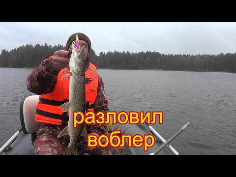 Видео: Новый воблер разловил на первом забросе. Mr.Musurok снова в деле.