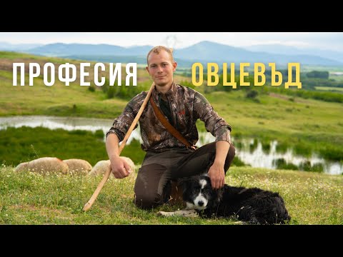 Видео: Избрах Бг: Четвърто поколение овцевъд вместо градски живот (еп. 8)