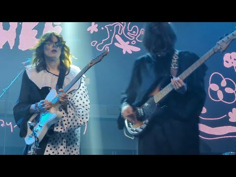 Видео: конец солнечных дней - рябина + чёрный кот (на бис). 01.04.25