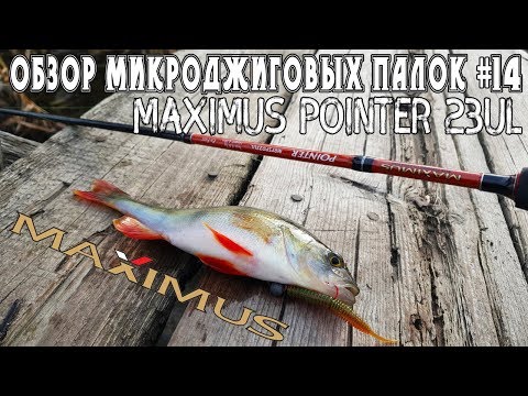 Видео: Обзор микроджиговых палок #14 Maximus Pointer 23UL