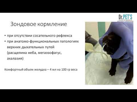 Видео: Неонат в стационаре