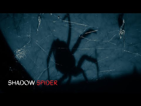 Видео: СҮҮДРЭН ААЛЗ - SCP ЦУВРАЛ 14