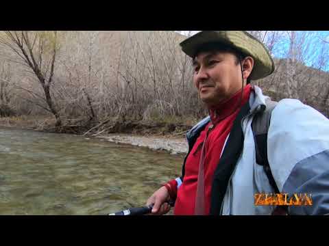 Видео: Супер!!! Рыбалка на Золотого Османа 2018г