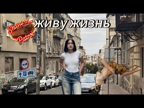 Видео: Мой первый видеодневник! Жизнь с собакой и отпуск в Сербии 