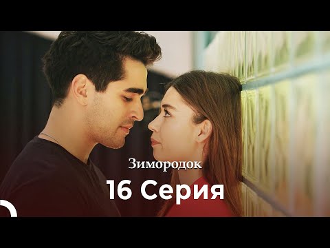 Видео: Зимородок 16 Cерия (Русский дубляж) (4K)