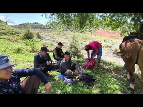 Видео: 2 Июуль 2024 Сары жайыктагы аламан улак 1 болум